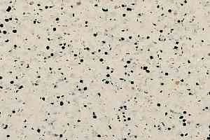 Линолеум Gerflor Mipolam Elegance El5 0353 Beige фото  | FLOORDEALER